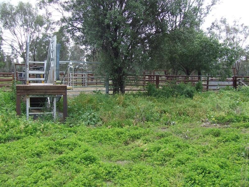 Watercourse road, Moree NSW 2400