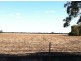Moree NSW 2400