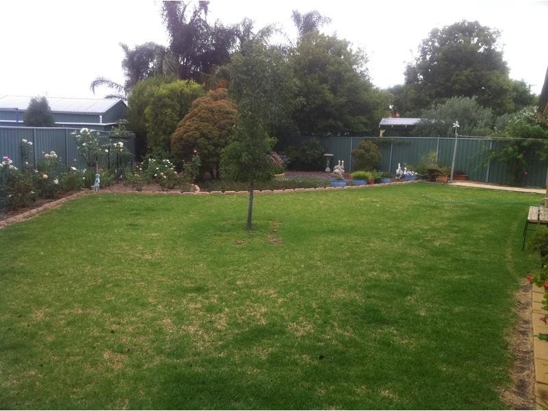 6 rosewood Cl, Moree NSW 2400