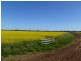 WILGA PARK MOSQUITO CREEK ROAD, Pallamallawa NSW 2399