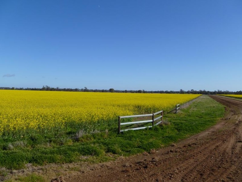 WILGA PARK MOSQUITO CREEK ROAD, Pallamallawa NSW 2399