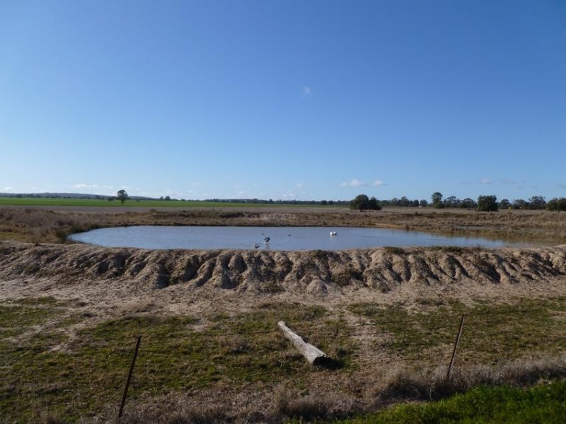WILGA PARK MOSQUITO CREEK ROAD, Pallamallawa NSW 2399