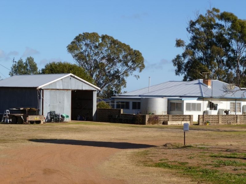 WILGA PARK MOSQUITO CREEK ROAD, Pallamallawa NSW 2399
