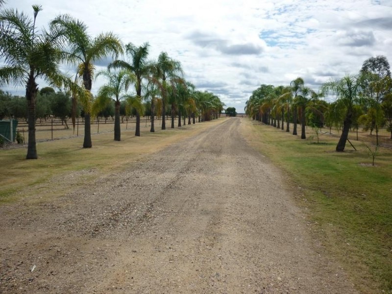 Wallanol Road, Moree NSW 2400