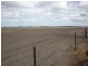 Wallanol Road, Moree NSW 2400