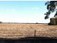 Wallanol Road, Moree NSW 2400
