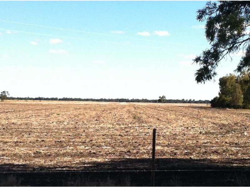 Wallanol Road, Moree NSW 2400