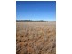Ramalis Road, Thallon QLD 4497