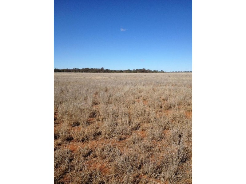Ramalis Road, Thallon QLD 4497