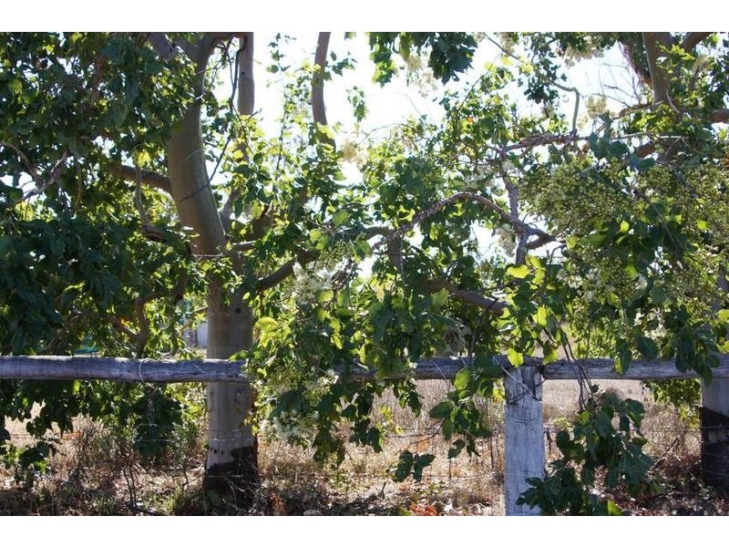Lot 21,  McCosker, Boggabilla NSW 2409