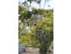 Lot 21,  McCosker, Boggabilla NSW 2409