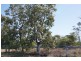 Lot 21,  McCosker, Boggabilla NSW 2409