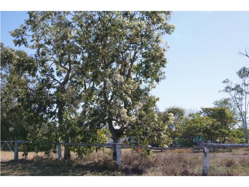 Lot 21,  McCosker, Boggabilla NSW 2409
