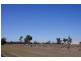 Lot 21,  McCosker, Boggabilla NSW 2409