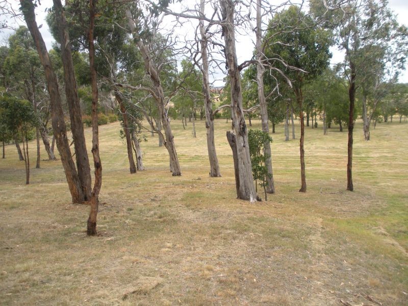 5 Silverwattle Drive, Invermay VIC 3352