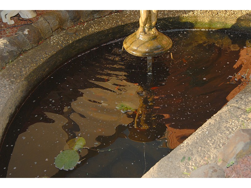 173 Morgan Street, Sebastopol VIC 3356