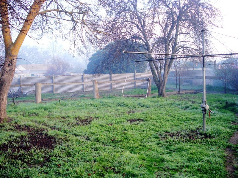 6 Halpin Street, Beaufort VIC 3373