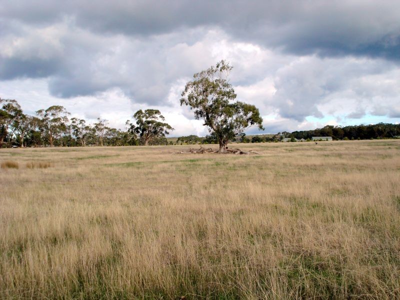 Lot 1, Brays Road, Ross Creek VIC 3351