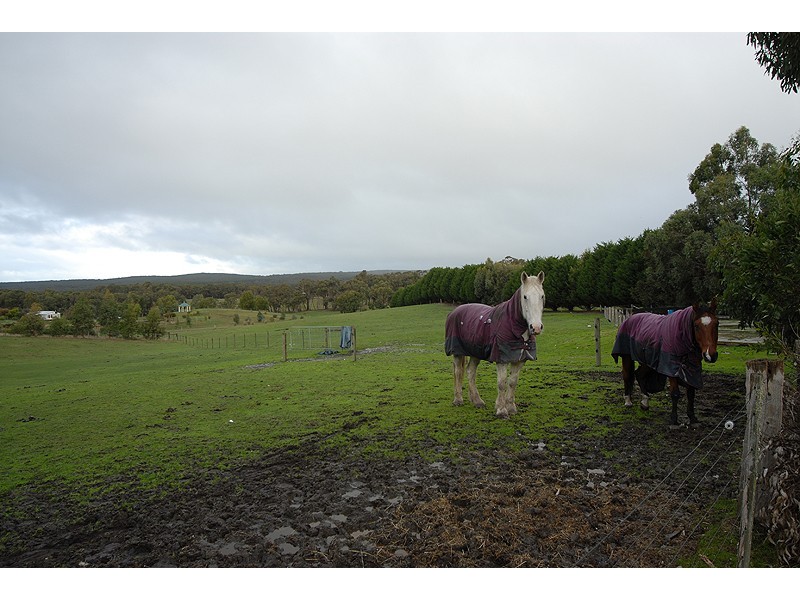 19 Cynthia Court, Haddon VIC 3351