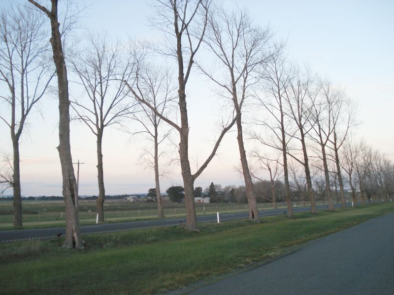 733 Remembrance Drive, Cardigan Village VIC 3352