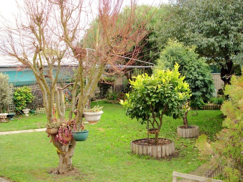 109 York Street, Ballarat VIC 3350