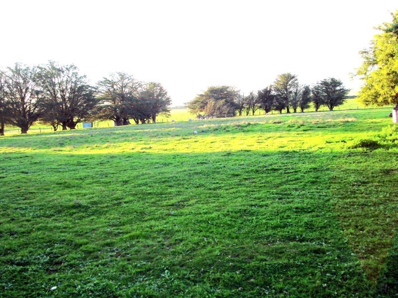 1095 Ercildoune Road, Burrumbeet VIC 3352