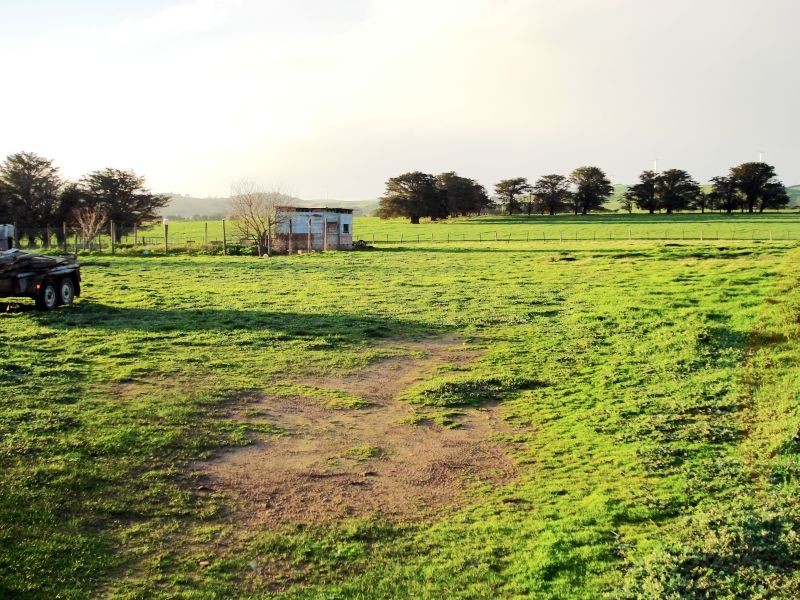 1095 Ercildoune Road, Burrumbeet VIC 3352