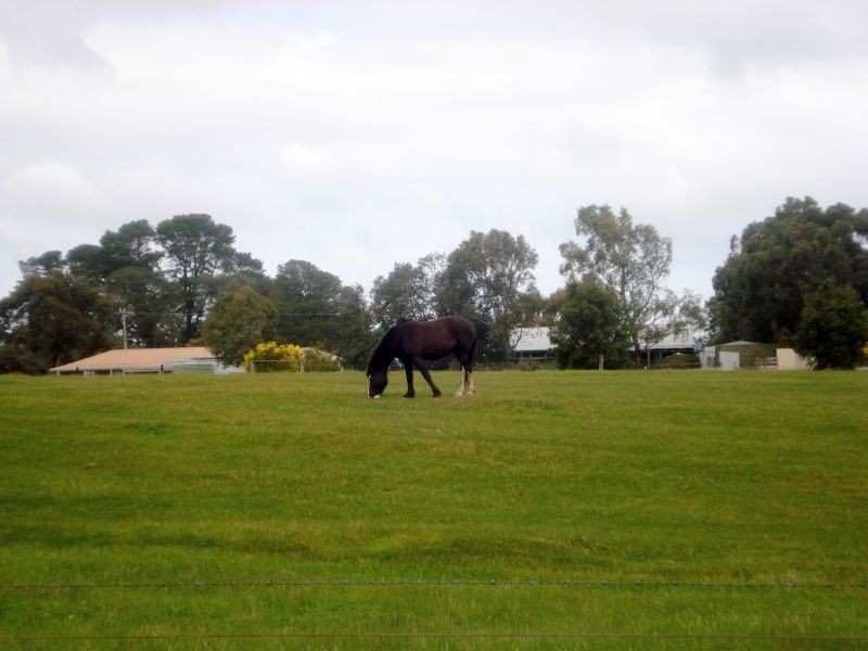 Lot 41, Johnston Street, Smythesdale VIC 3351