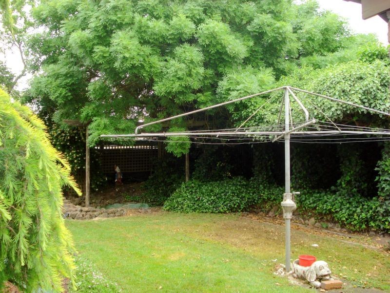 38 Alfred Street, Sebastopol VIC 3356