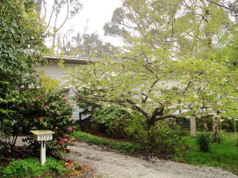 2123 Geelong Road, Mount Helen VIC 3350