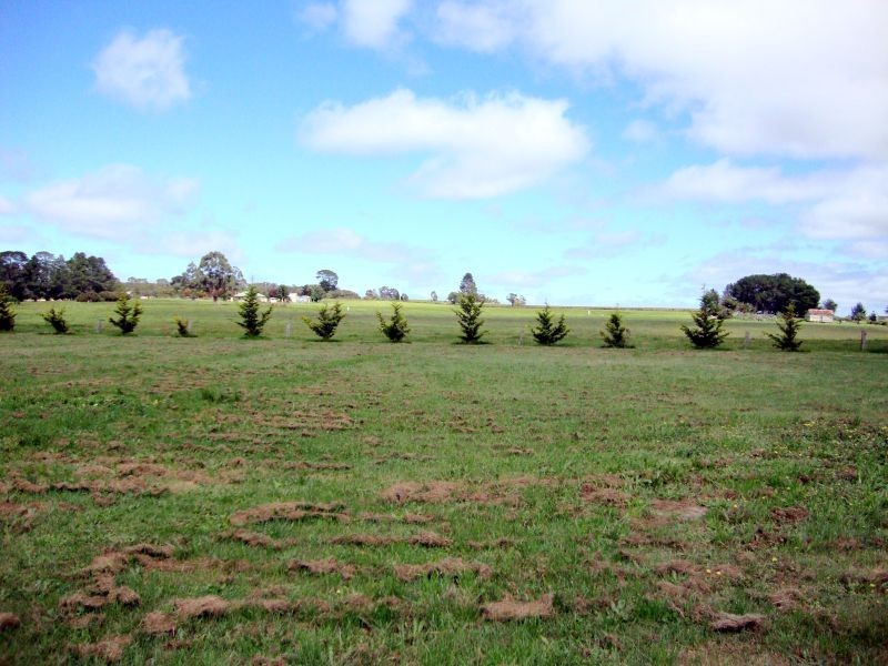 765 Linton – Carngham Road, Snake Valley VIC 3351