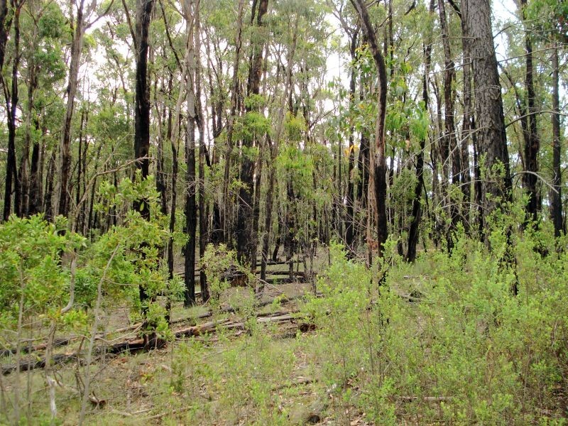 Lot 24 Brodie Court, Mount Helen VIC 3350