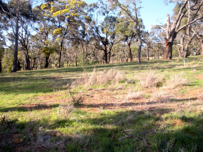 Lot 3 King Street, Beaufort VIC 3373