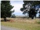 Lot 1/523 West Berry Road, Allendale VIC 3364