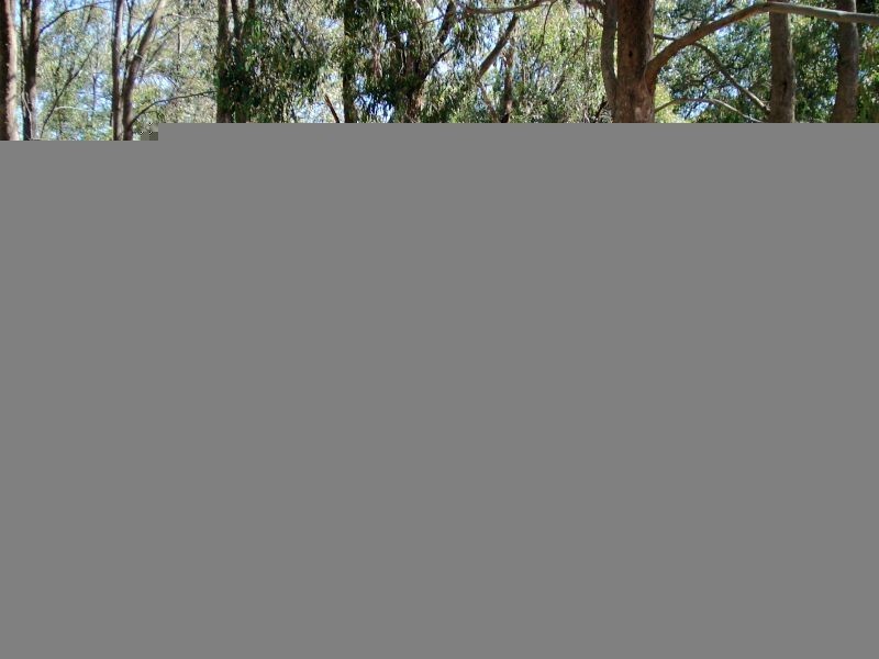 158 Clarkes Road, Enfield VIC 3352