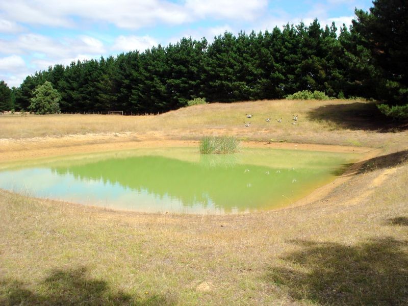 4050 Colac – Ballarat Road, Enfield VIC 3352