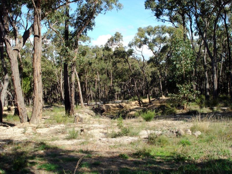 120 Woodland Drive, Scarsdale VIC 3351