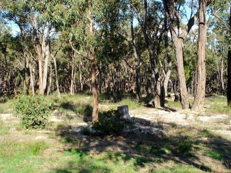 120 Woodland Drive, Scarsdale VIC 3351