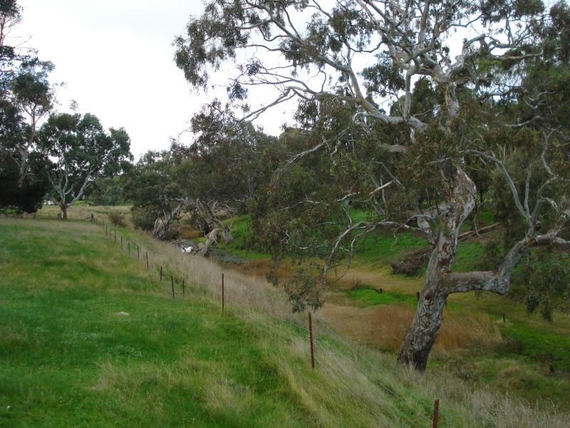 25 Smythe Street, Skipton VIC 3361