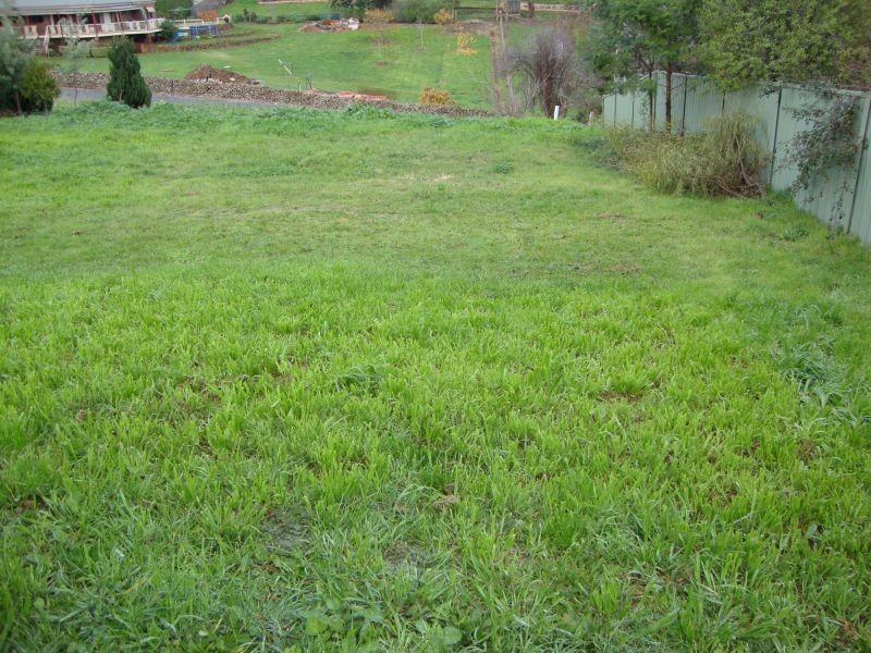 2/3 Scott Street, Buninyong VIC 3357