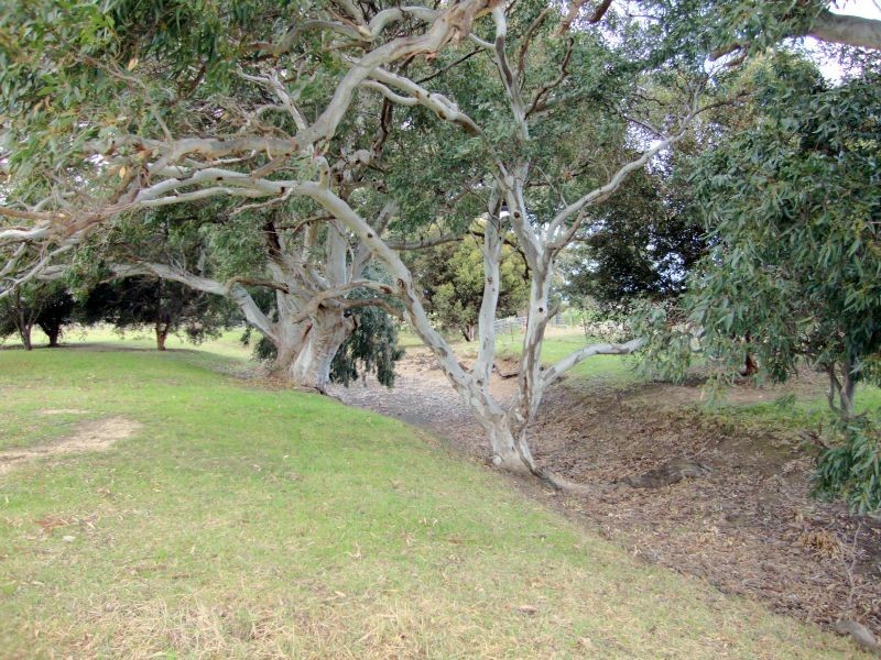 106 Dalys Road, Rokewood VIC 3330