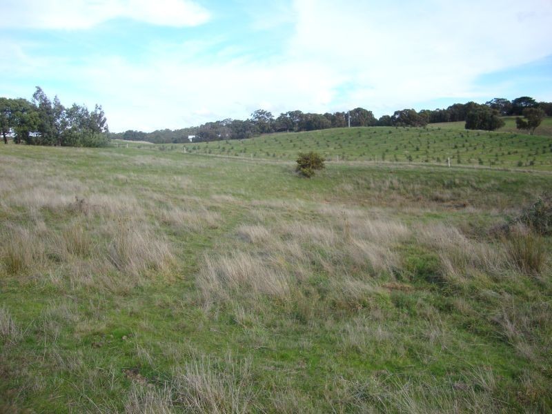 Lot 1 Scotchmans Lead Road, Napoleons VIC 3352