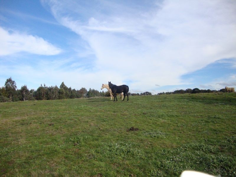 Lot 1 Scotchmans Lead Road, Napoleons VIC 3352