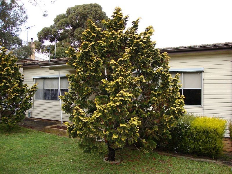 321 Norman Street, Ballarat North VIC 3350