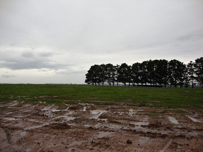 Lot 92 Diamond Drive, Cardigan Village VIC 3352