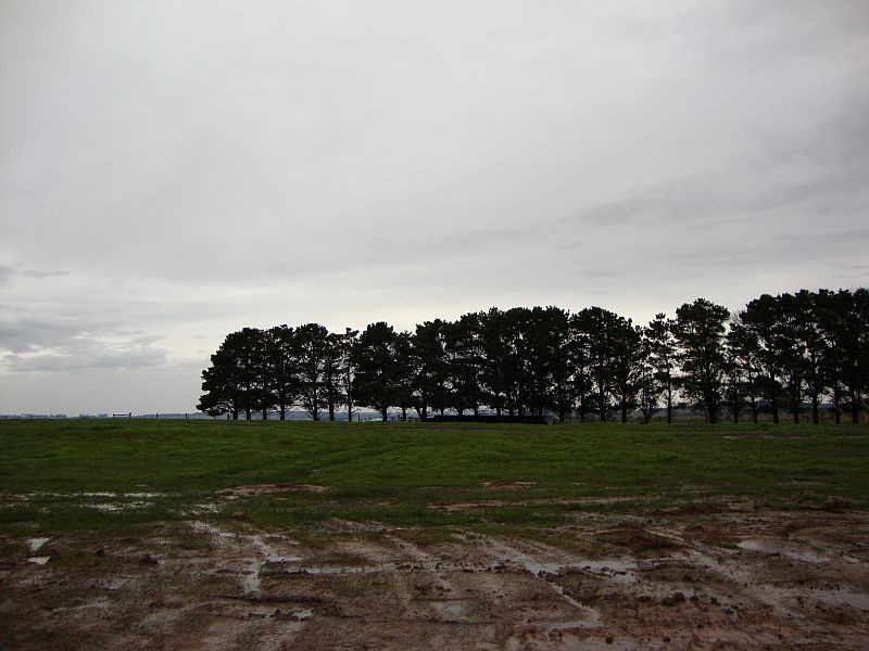 Lot 92 Diamond Drive, Cardigan Village VIC 3352