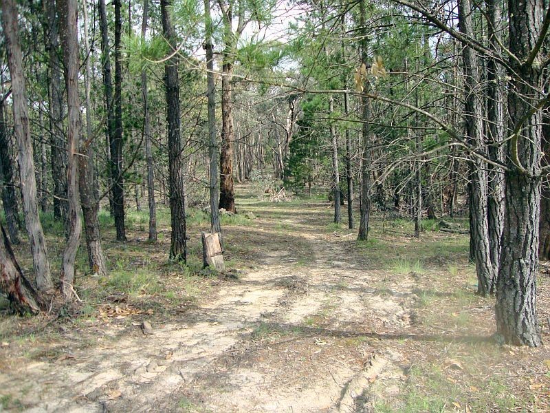 Lot 3 Grampians View Road, Beaufort VIC 3373