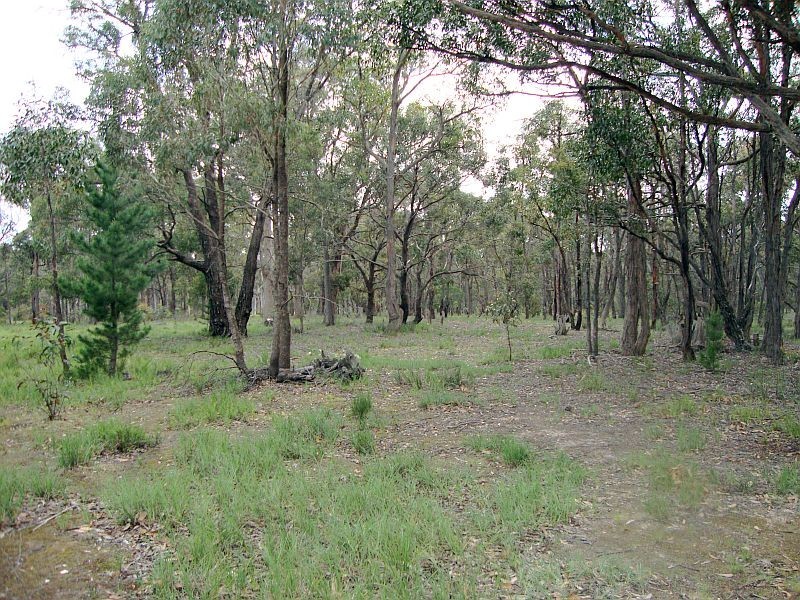 Lot 3 Grampians View Road, Beaufort VIC 3373