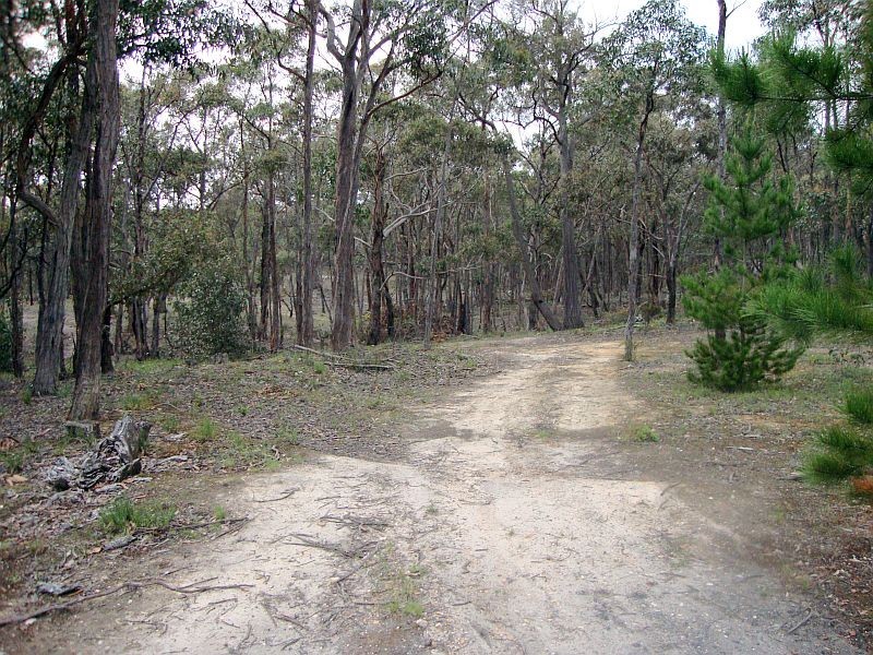 Lot 3 Grampians View Road, Beaufort VIC 3373
