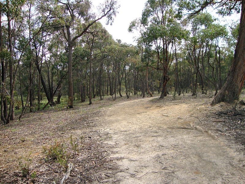 Lot 3 Grampians View Road, Beaufort VIC 3373